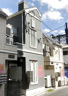 グレースリーフの画像