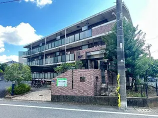 サンブリッジIIIの画像