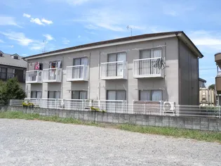 藤井ハイツ【2階】の外観