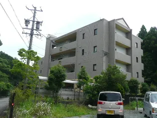 常磐町M’s【1階】の外観