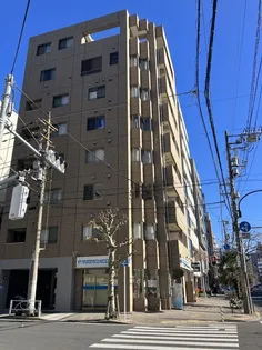 Peaceful Court 菊川(ピースフルコート)【3階】の外観