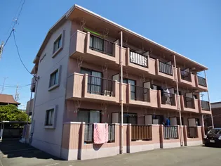 パイン ベースの画像