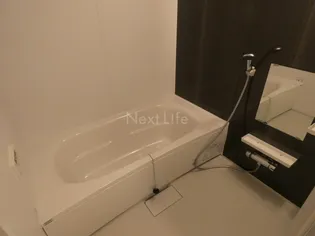 ワイエムオートヴィラB棟の風呂