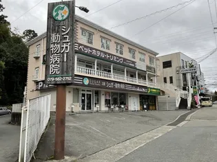 サンマルコ壱番館【2階】の外観