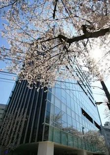 桜ヒルズ九段北【9階】の外観