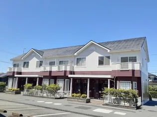 ヴィオレッテT UーDの画像