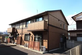 エルーセラの画像