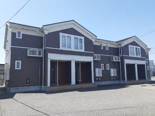 プラシードBの画像