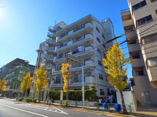 ロイヤルパールの画像