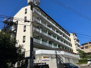 ウェルフェアーIIの画像