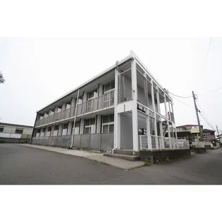 メイプルの画像