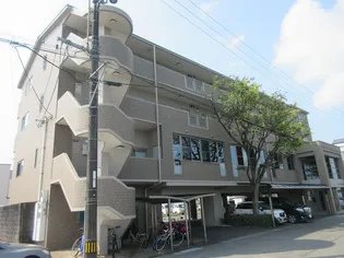 リーヴァかもべの画像