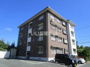シーサイドアベニューの画像