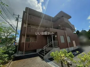 フォレストインシラーズの画像