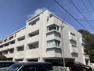 セザール柏の画像