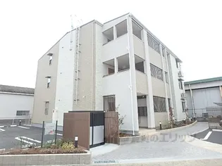 ボナールさざんかの画像