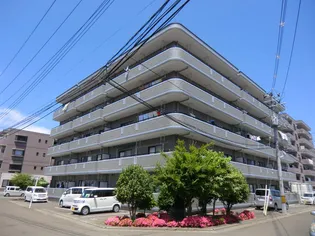 プロスペール森アネックス【3階】の外観