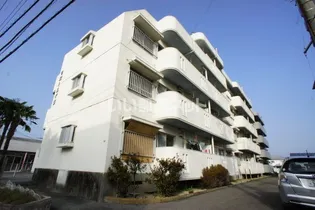 八番町リバーハイツの画像