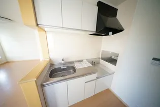 プラティークIIIのキッチン