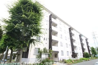 相武台第4 1106号棟【1階】の外観