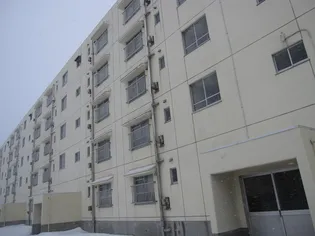 ビレッジハウス若草1号棟【3階】の外観