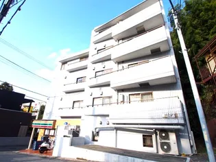 ステラテンの画像