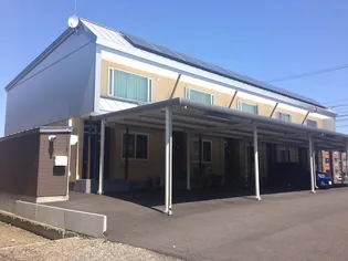 ライムの画像