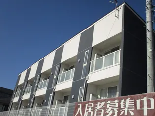 アグーリの画像