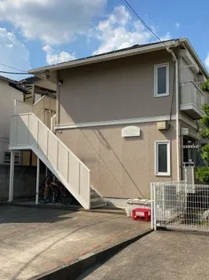 メイビプレジオの画像