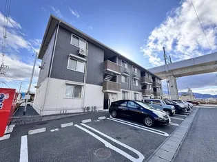 センチュリーの画像