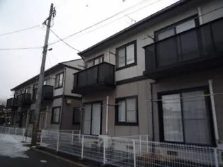 ヴィオラSIN Bの画像