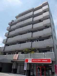 スパークルの画像