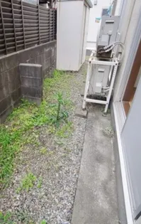 コーポラモナ【1階】の内装