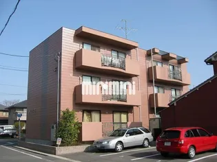 アピエス5の画像