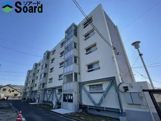 WATARASEDANCHIIIの画像
