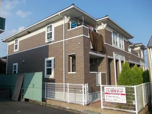 ブルー エールYの画像