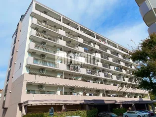 アーバンラフレ虹ヶ丘西8号棟【2階】の外観