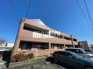 プリマベーラB HⅡの画像