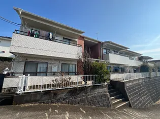 モアクレストの画像