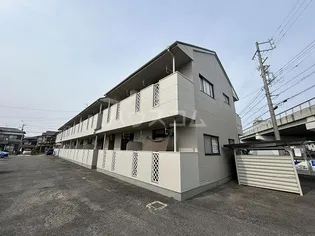 セントポーリアの画像