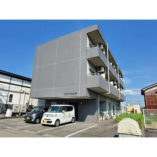 ピアーチェ小杉の画像