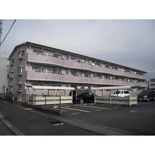サンセール パインの画像