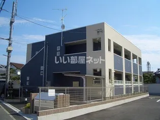 ハナミズキの画像
