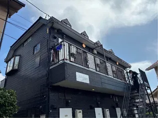 ロフティーグレースの画像