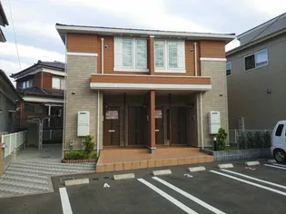 あかしあの画像
