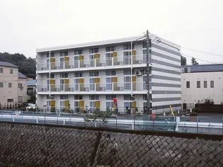 アネモスの画像