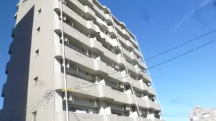 マツオカMSビル 4【7階】の外観