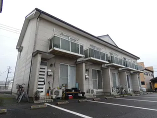 エクセラ藤の画像