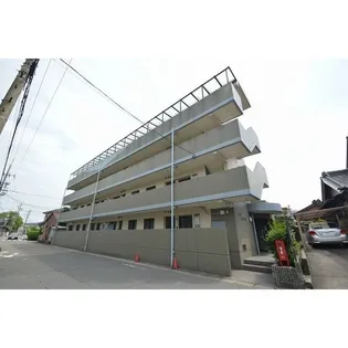 サングリーンの画像