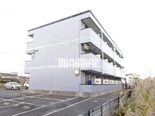 アムールグリシーヌの画像